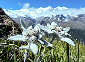 Nikon Z6 Nikkor 80-400mm